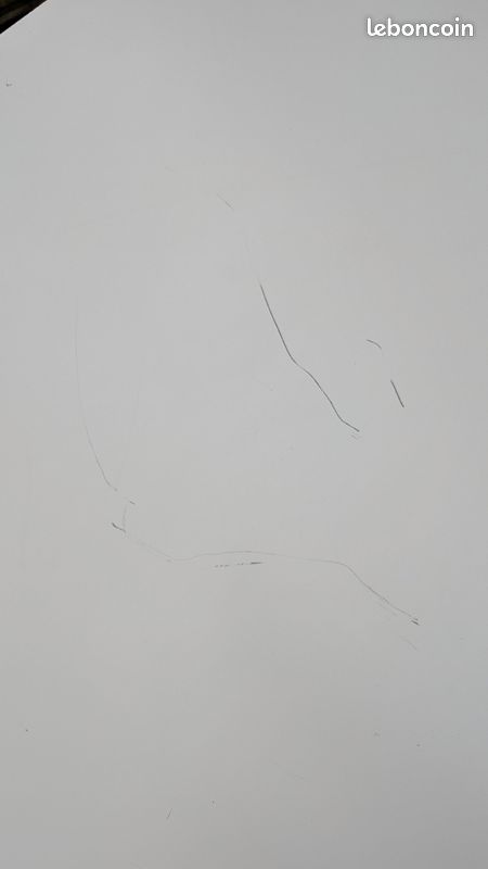 Porte d'entrée blanche en acier (image 6)