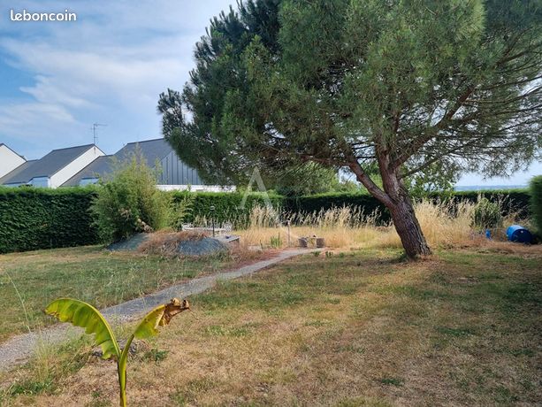 Terrain 480 m² CHAMPTOCE SUR LOIRE