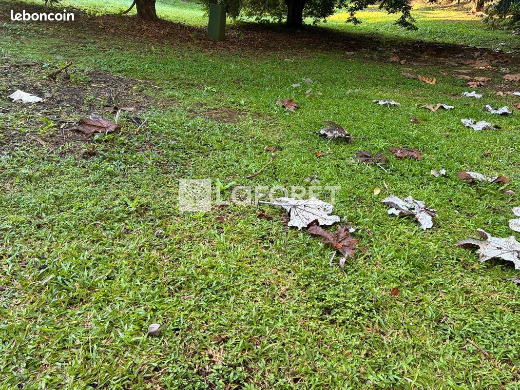 Terrain 1080 m² · à Lamentin · 1 080 m² · 110 808 €