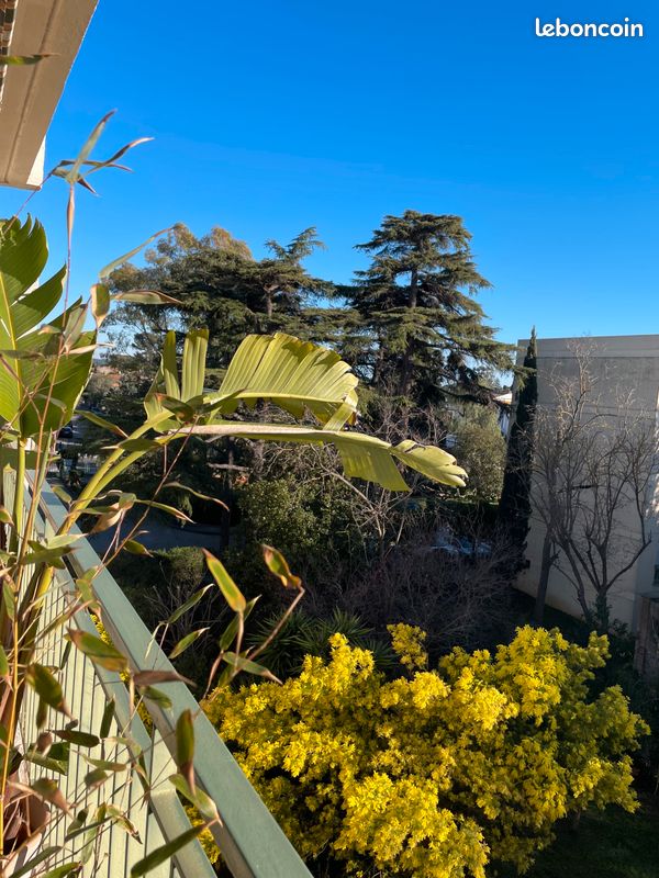 Appartement 3 pièces 70 m² · à Toulon · 70 m² · 334 000 €