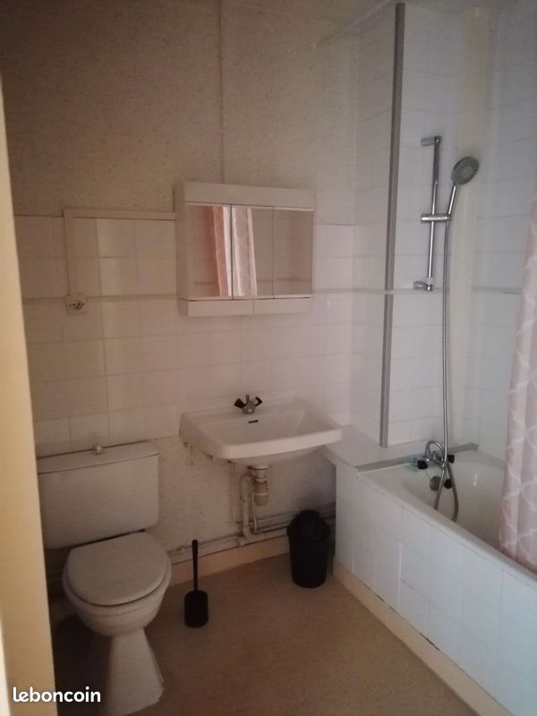 Studio F1 bis 28m² - Limoges 87000 (image principale 2)