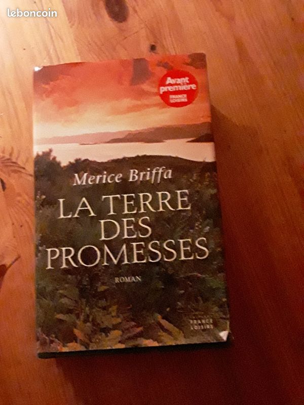 Livre la terres des promesses (image 1)