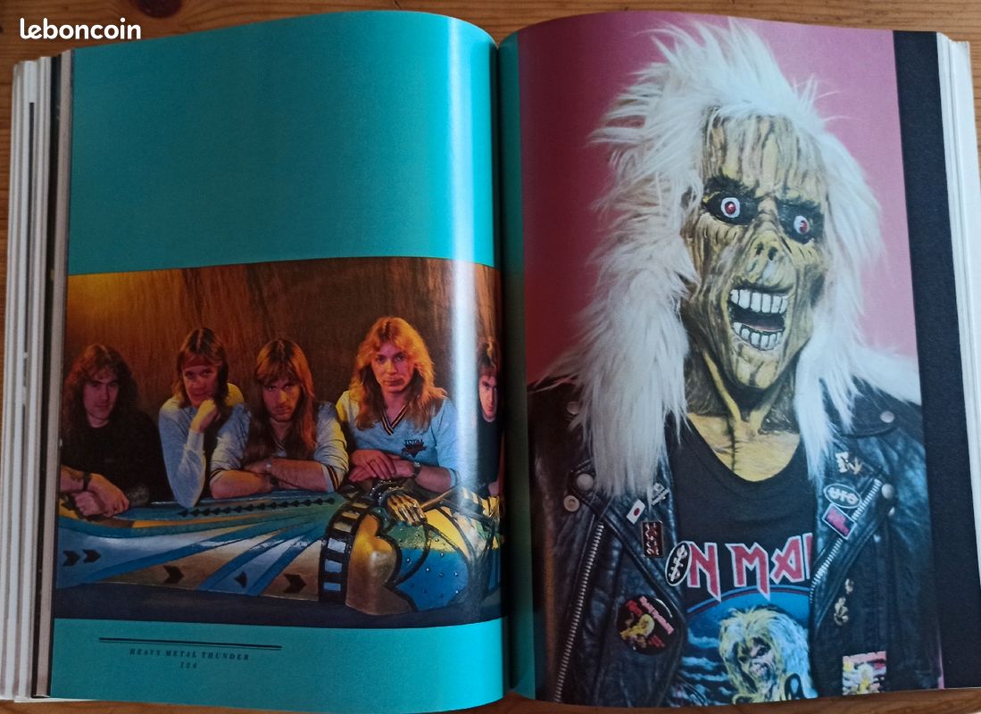Livre Hard Rock 'Heavy Metal Thunder' de Philip Bashe 1985 214pages (image 9)