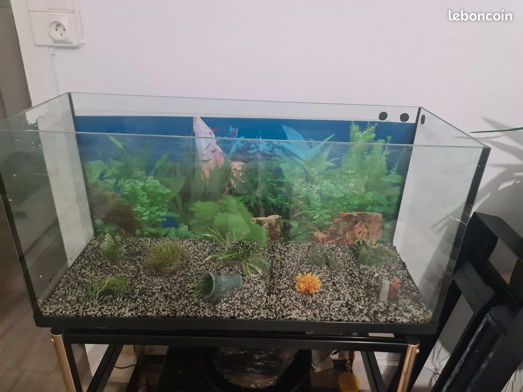 Aquarium (image 3)