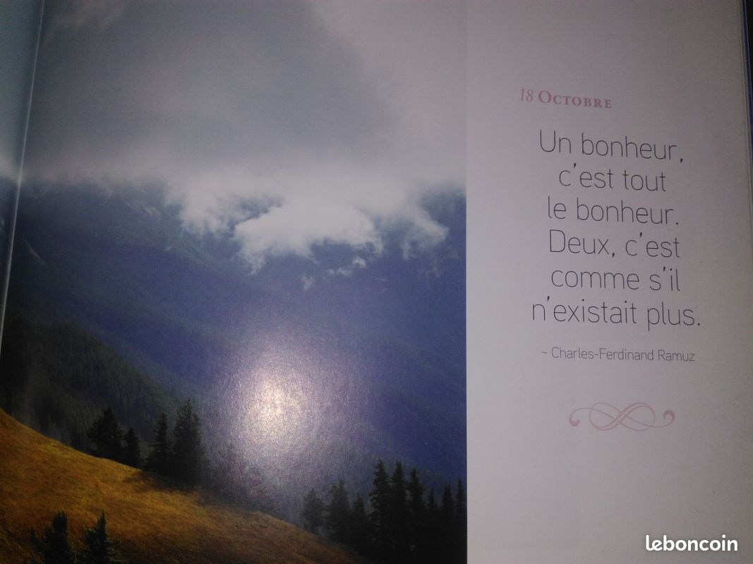Une annee de bonheur (image 5)