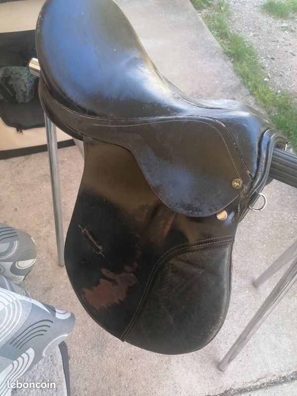 Coussinet De Selle Anglais Dover 21" - Noir Matelassé Forme Spéciale équitation