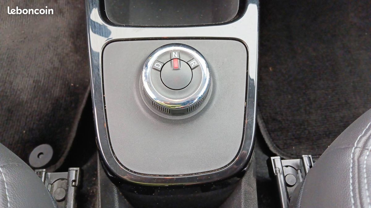 Dacia spring expression (image 16)