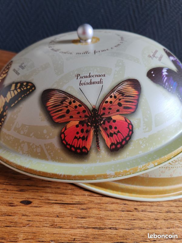 Articles boîtes à gâteaux de mariage en forme de papillon polyvalents