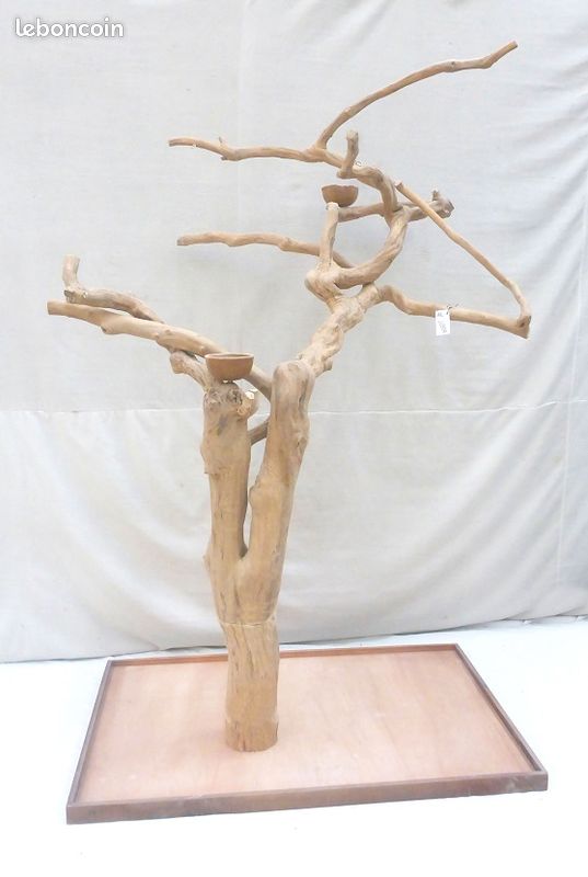 Arbre Java grand ara AIRE DE JEU PERROQUET arbre en bois de caféiers (image 3)