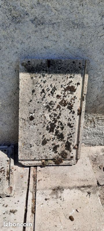 Dalles beton (image 4)