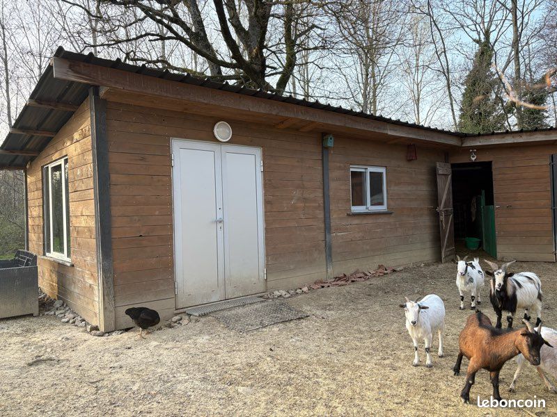 Cabane insolite (image 2)