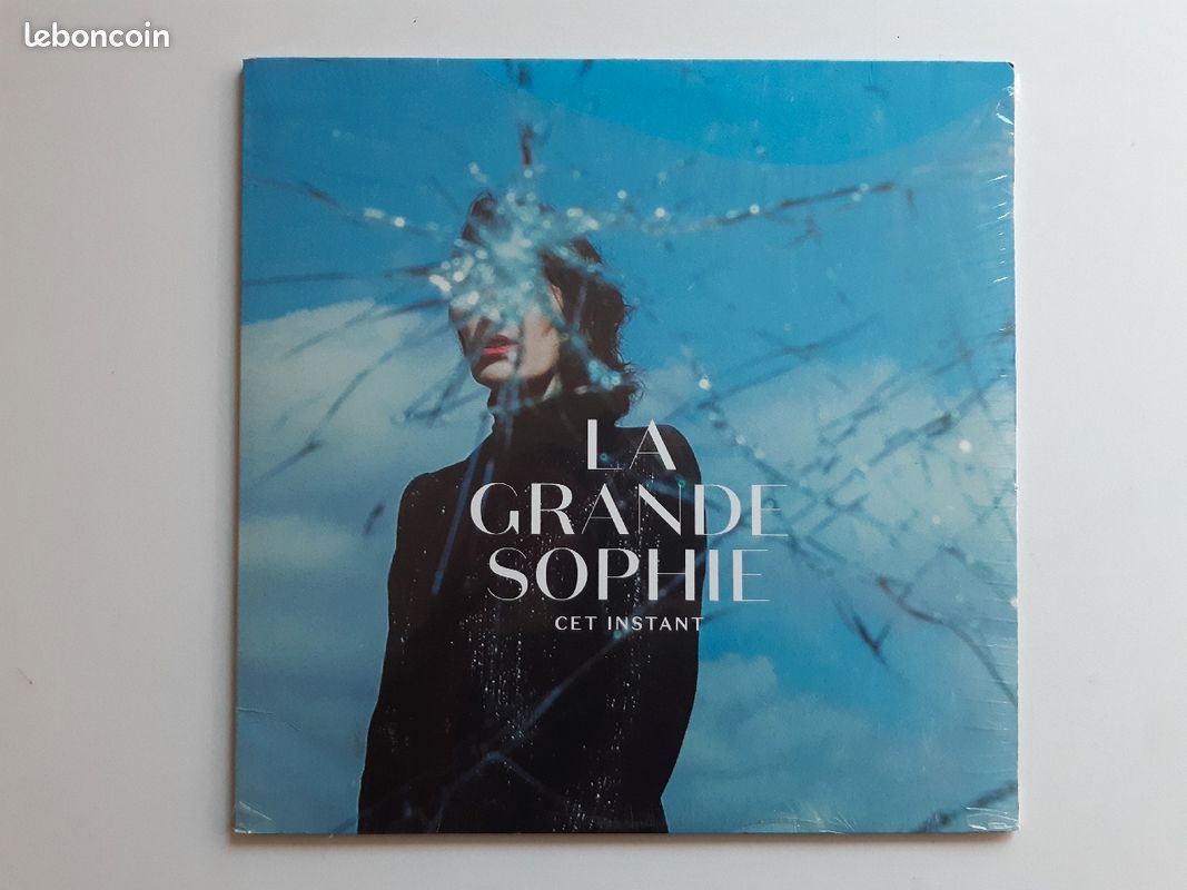 La Grande Sophie +10000 vinyles Rock, Rap, Hard-Rock, Disco, Ch.Française, Reggae, Jazz, Electro (image 1)