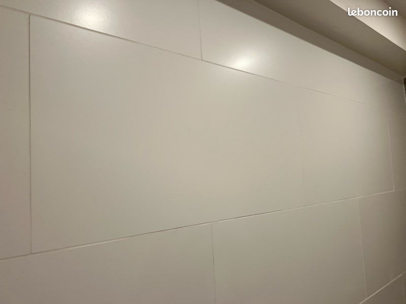 Carreaux salle de bain blanc mat (image 2)