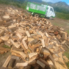 Huline Damien eau terre et forêt
