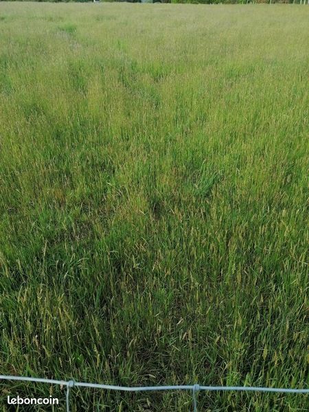 Terrain 503 m² · à Crach · 240 000 €
