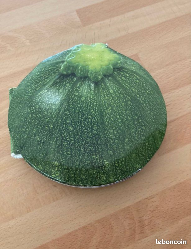 Livre de cuisine courgette (image 2)
