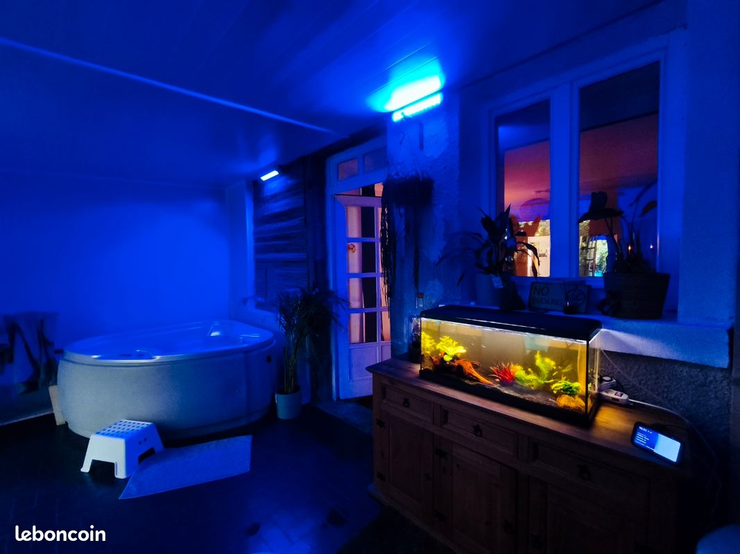 Le Paradis, Jacuzzi, fauteuil massant, terrasse, place parking, 2 personnes (image 18)