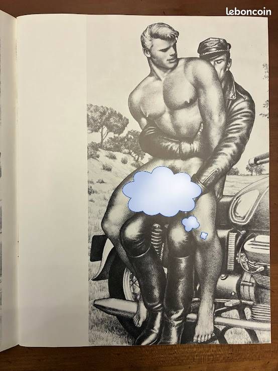 Bande dessinée rare, pour Adultes : "The Men by Tom of Finland " Edition 1984 (image 2)