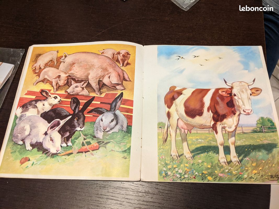 Livre d'images "Amis" (image 2)