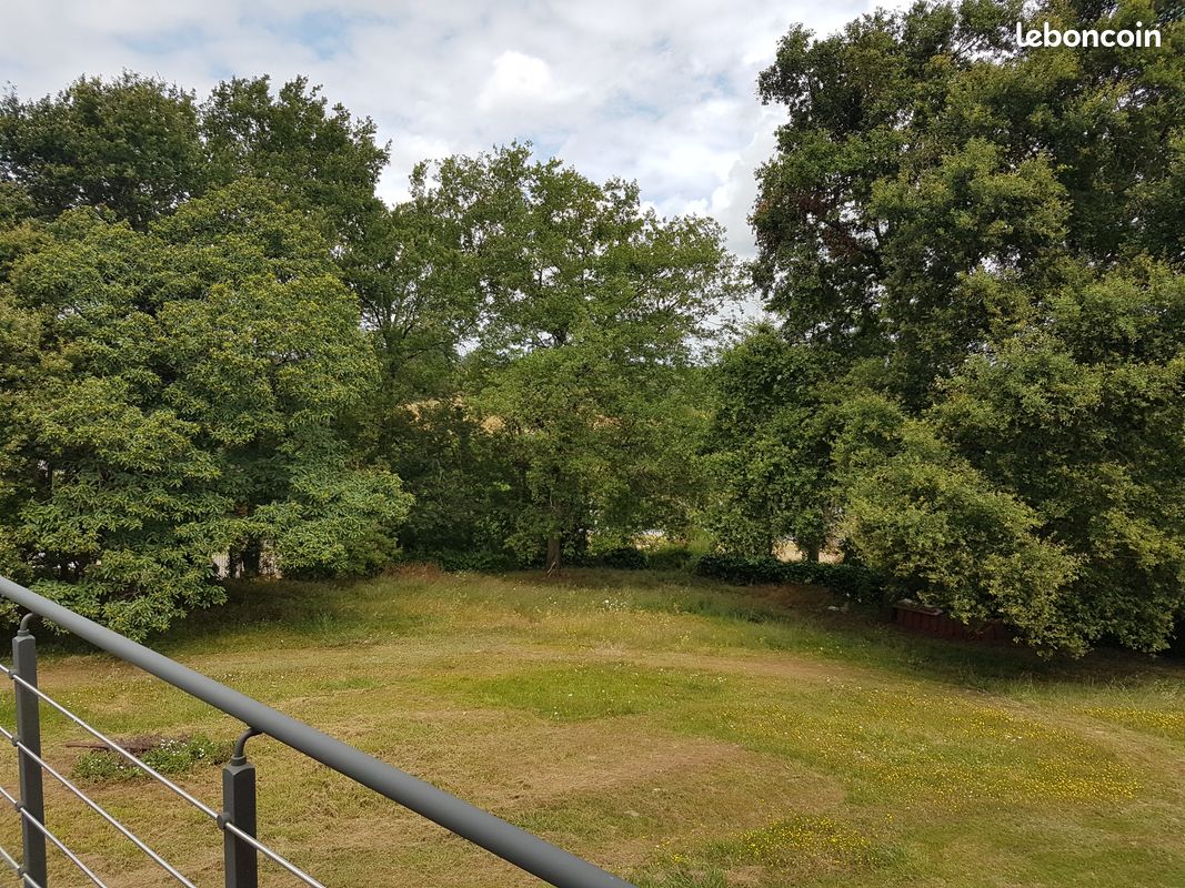 Chambre à louer (image 6)