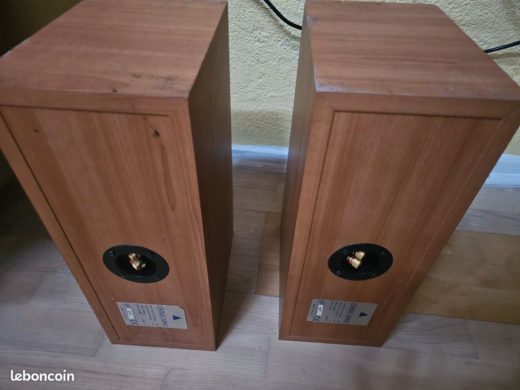 Enceinte Triangle modèle centrale zapping (image 3)