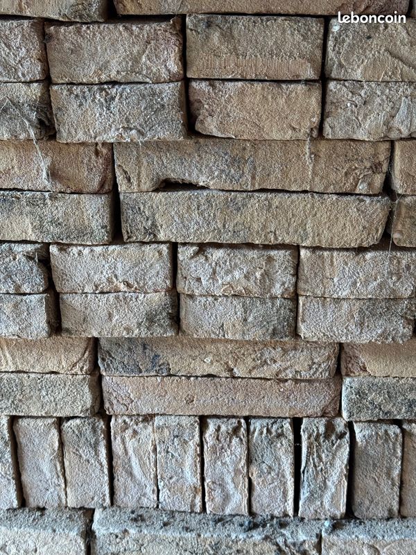 Lot 365 briques pleines anciennes (6m2) (image 4)