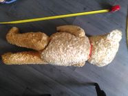 Ours Teddy Ancien 25 Cm Articulé Yeux Verre – Steiff FADAP Pintel JPM ?