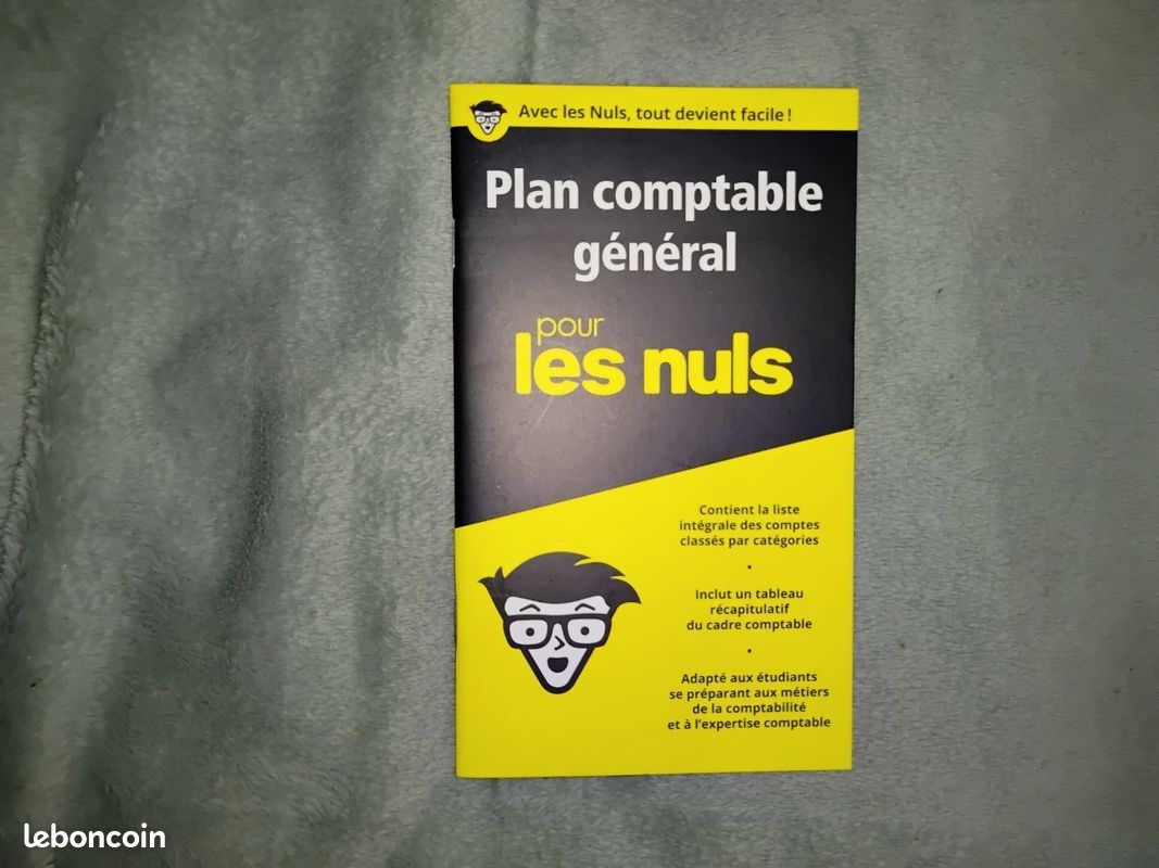 Coffret de trois livres créer sa boîte pour les nuls tout en un (image 8)