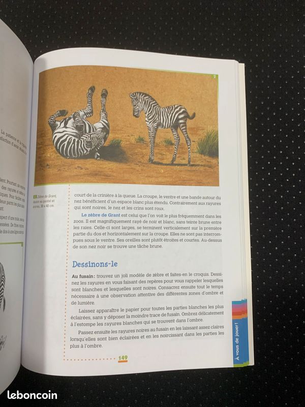 Dessiner les chevaux et les poneys - manuel (image 9)