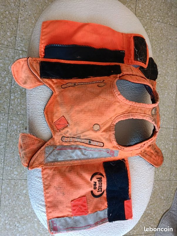 Gilet protection chien (image 2)