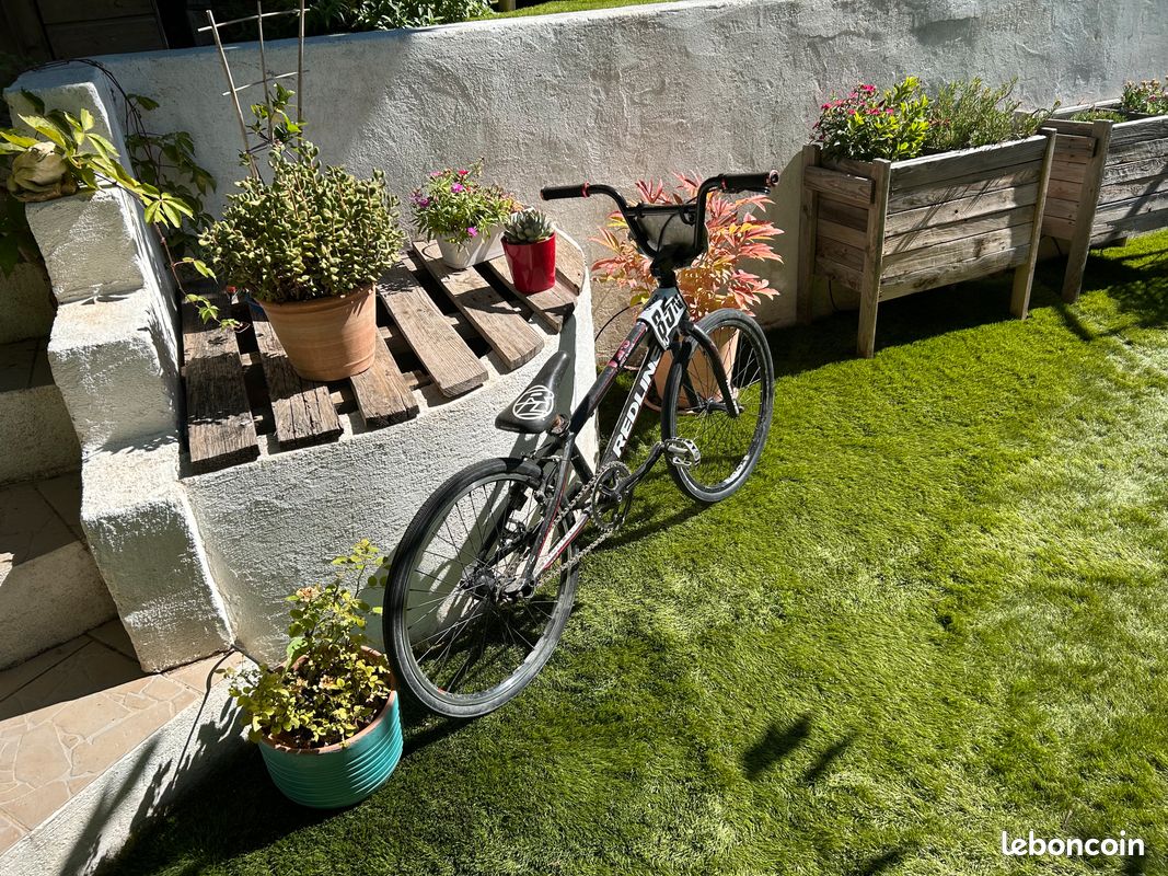 Vélo BMX (image 2)