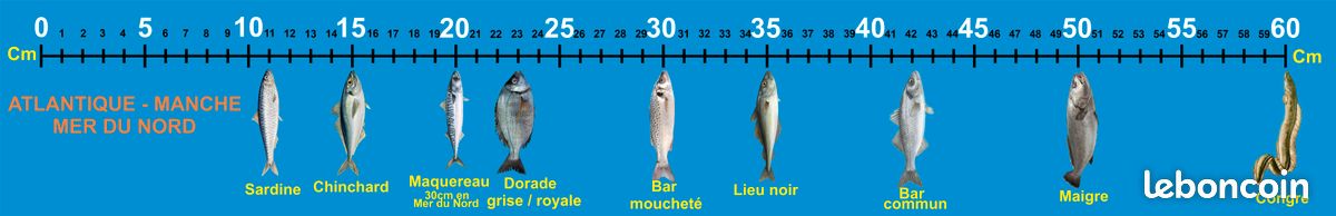 Autocollant Règle à Poisson Adhésive - 51 Pouces (129,5 Cm) - Bleu Foncé - Pour Bateau De Pêche - Uxcell