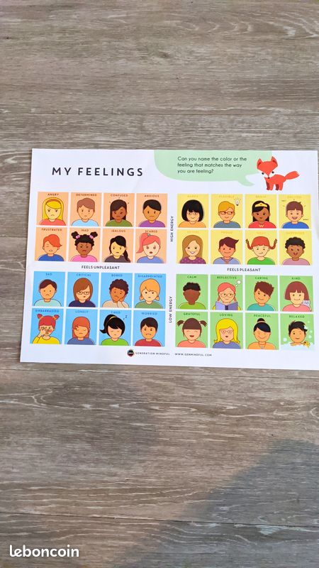 Lot de 2 posters éducatifs – Les émotions en anglais (image 3)