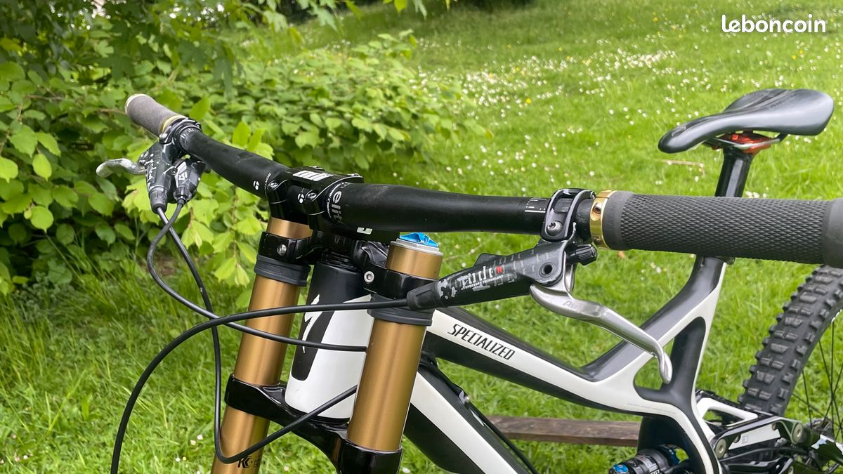 VTT DH Specialized demo 8.Carbon (image 5)