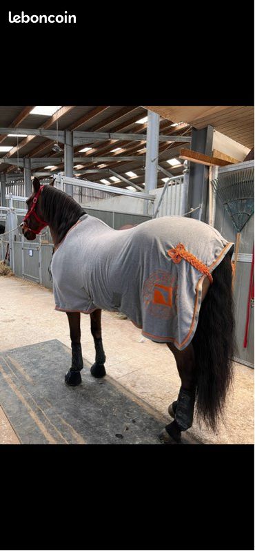 Tour de cou polaire - Rose - Fille - 5.60