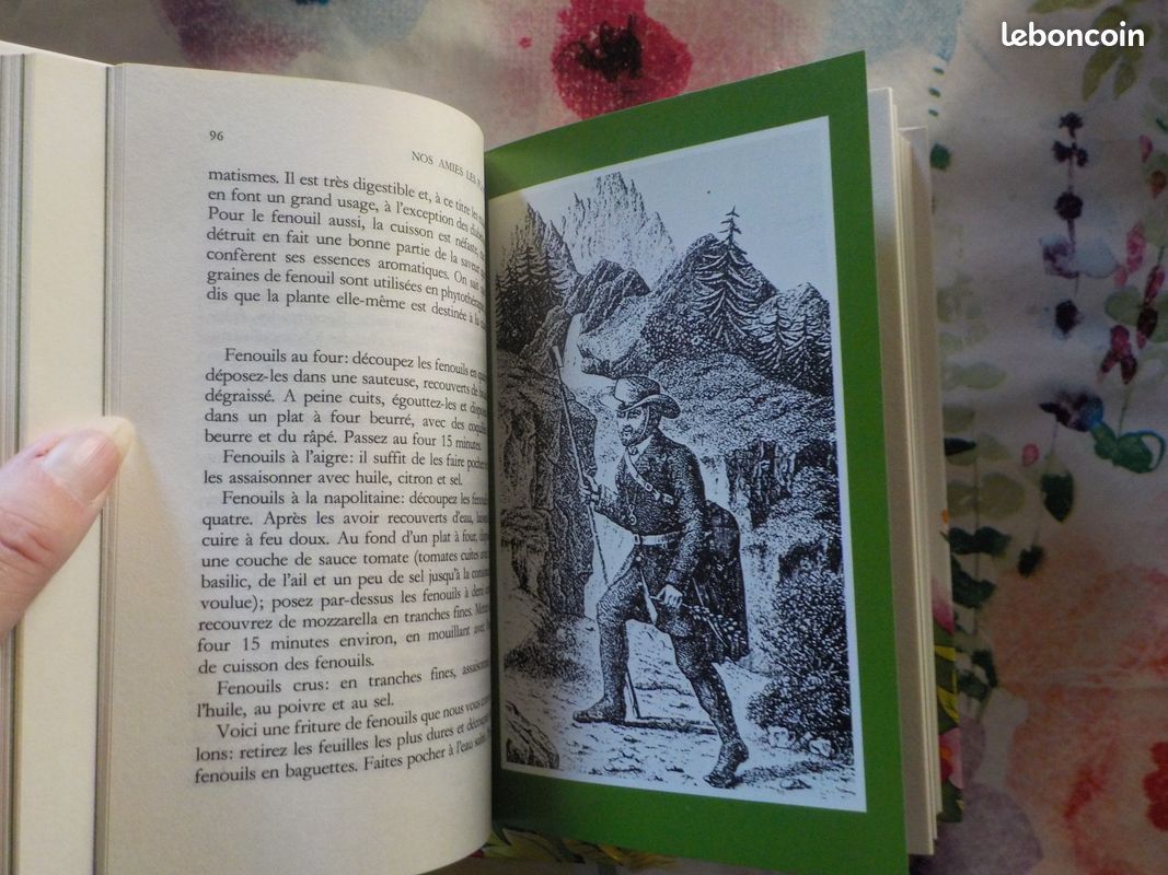 NOS AMIES LES PLANTES T1 à 3 par D. MANTA et D. SEMOLLI Ed. Famot (image 12)
