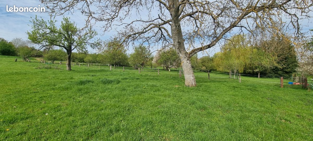 Verger · à Favières · 15 000 €
