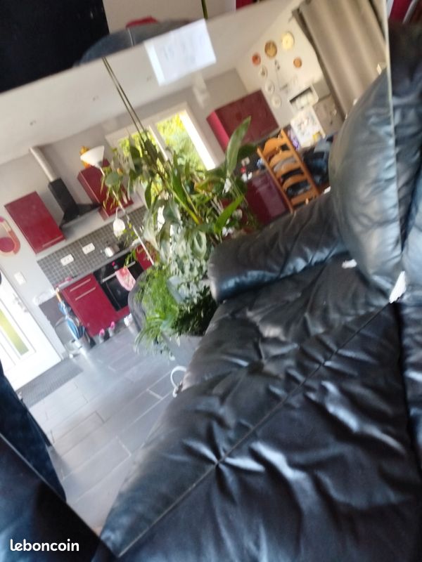 Miroir (image 1)