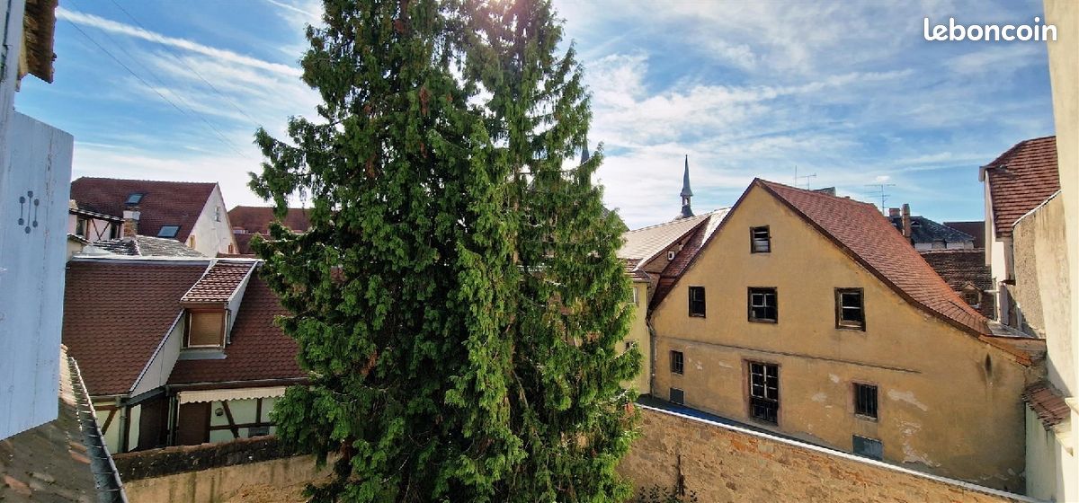 Appartement 5 pièces 120 m² · à Colmar · 120 m² · 300 000 €