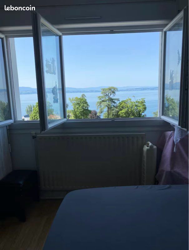 Appartement vue sur Lac Léman - idéale longue durée (image 13)