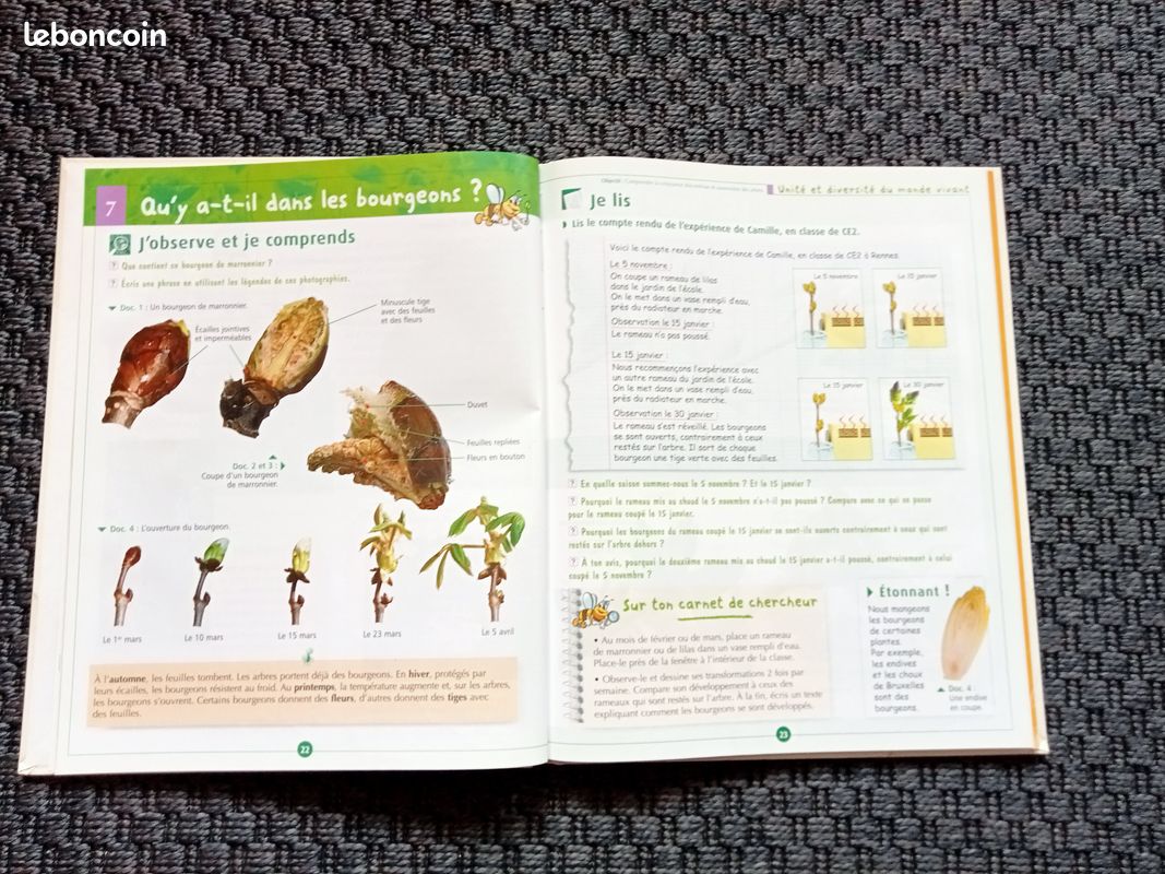 Livres CE2 (image 6)