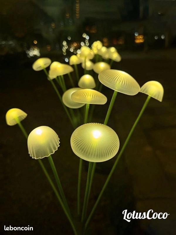 ACDE Guirlande Lumineuses Brancher, 10 M/100 LED Guirlande Guinguette Imperméable Adaptateur EU Inclus Pour Noël Mariage Fête Intérieur Extérieur Décoration - Blanc Chaud | Votre Wishlist Sur