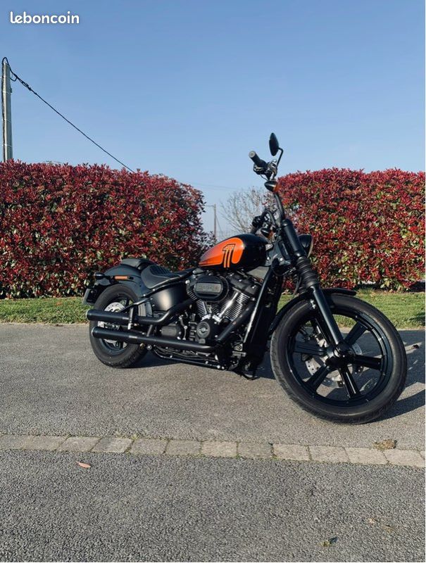 Harley Davidson Street bob 114 / 2024 (image 1)