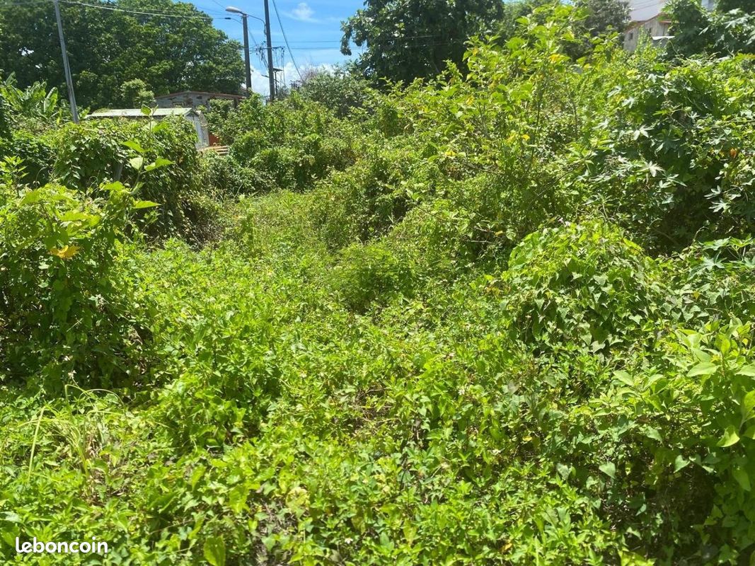 Terrain 479 m² · à Les Abymes · 479 m² · 64 280 €