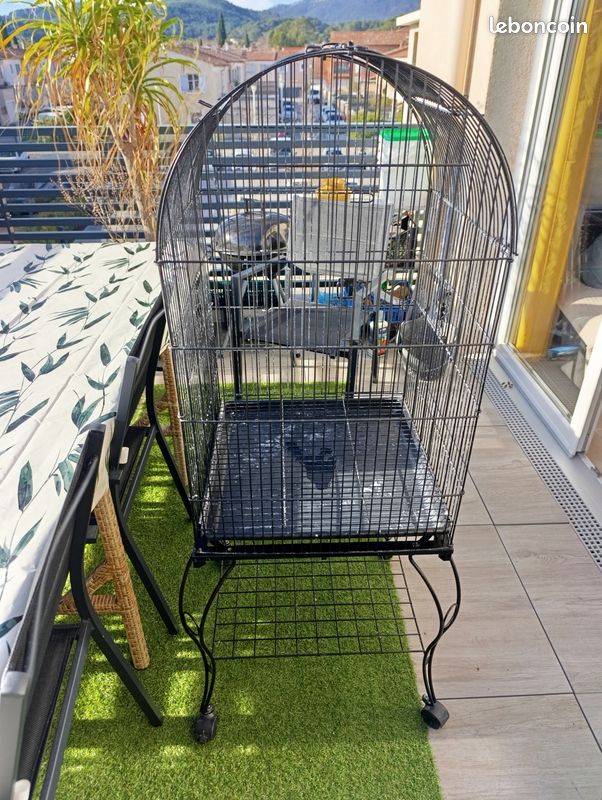 Cage oiseau (image 1)