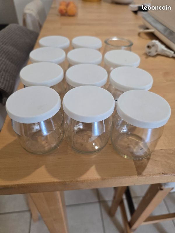 Yahourtière Multidélices express SEB 12 pots (image 4)