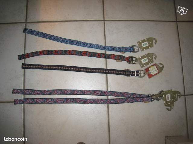 3 colliers pour chien et 2 laisses neufs (image 1)
