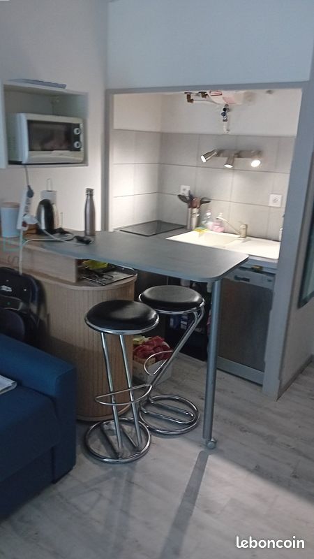 Studio 1 pièce 24 m² - Saint-Georges-de-Didonne 17110 (image principale 4)