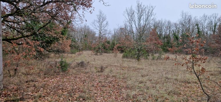 Terrain constructible