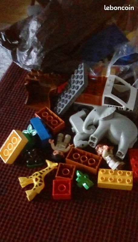 Savane DUPLO (image 1)